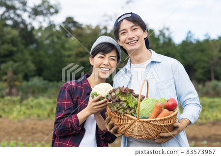 Young men and women harvesting vegetables Young men and women harvesting vegetables 83573967