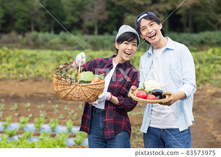 Young men and women harvesting vegetables 83573975