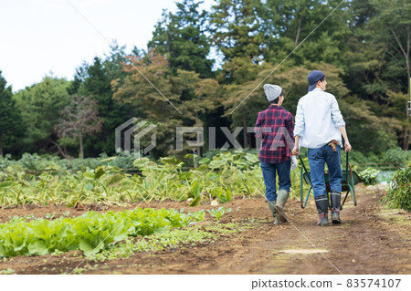 Young men and women harvesting vegetables Young men and women harvesting vegetables 83574107