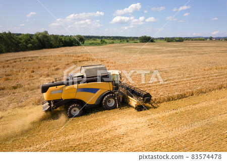 Aerial view of combine harvester harvesting large ripe wheat field. Agriculture from drone view. 83574478
