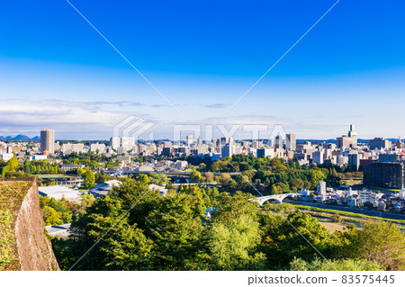 View from Sendai Castle Ruins in Autumn 83575445