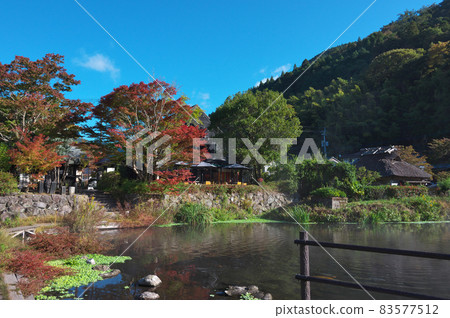Yufuin, Oita Prefecture, Golden Scale Lake 83577512