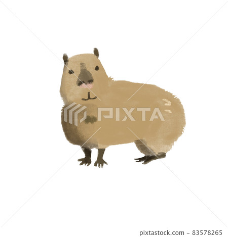 Capybara handwriting style 83578265