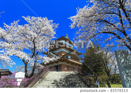 [Nagano Prefecture] Takashima Castle and cherry blossoms in full bloom under sunny weather 83578313