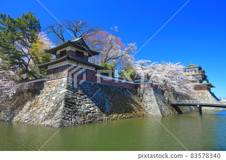 [Nagano Prefecture] Takashima Castle and cherry blossoms in full bloom under sunny weather 83578340
