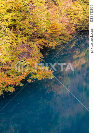 Lake Shima Lake in autumn, Nakanojo Town, Gunma Prefecture 83578395