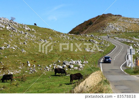 Drive the autumn sky Shikoku Karst Drive the autumn sky Shikoku Karst 83578818