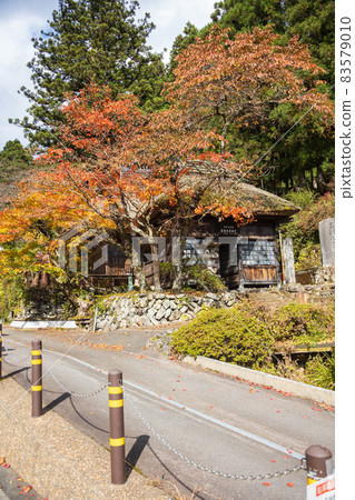 Shima Onsen Hinatamiyakushido Autumn Leaves Shima Onsen Hinatamiyakushido Autumn Leaves 83579010