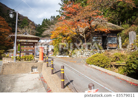 Shima Onsen Hinatamiyakushido Autumn Leaves Shima Onsen Hinatamiyakushido Autumn Leaves 83579011