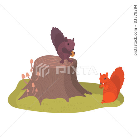 Wild animal little rodent orange squirrel sitting on forest stump, concept wildlife beast cartoon vector illustration, isolated on white. Wild animal little rodent orange squirrel sitting on forest stump, concept wildlife beast cartoon vector illustration, isolated on white. 83579294