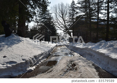 只有道路被雪鏟過的風景 只有道路被雪鏟過的風景 83579589
