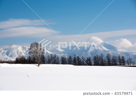 Snowfields and mountains on a sunny winter day Tokachidake mountain range Snowfields and mountains on a sunny winter day Tokachidake mountain range 83579971