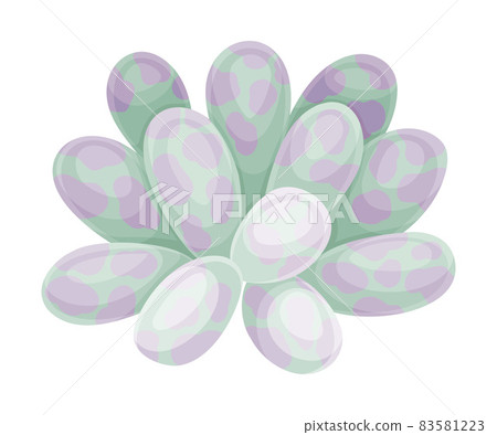 Succulent indoor plant. Scandinavian style decor element vector illustration Succulent indoor plant. Scandinavian style decor element vector illustration 83581223