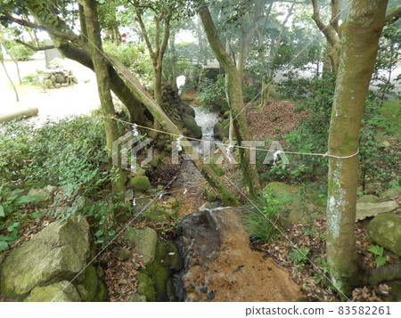 Take a walk around Tsuruga City Jogu Shrine Take a walk around Tsuruga City Jogu Shrine 83582261