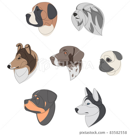 Breeds of dogs drawn in minimal style set. One line dog portrait set. St. Bernard, Old English Sheepdog, Rough Collie, German Shorthaired Pointer, Pug, Rottweiler, Siberian Husky. Vector illustration. 83582558