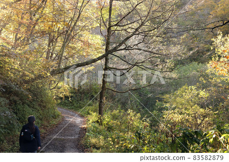 Kariike mountain trail (Ono City, Fukui Prefecture) 83582879