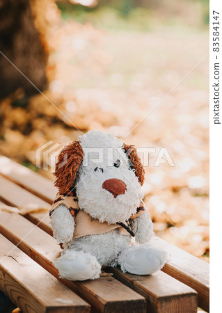 Soft toy dog put on the bench outdoors Soft toy dog put on the bench outdoors 83584147