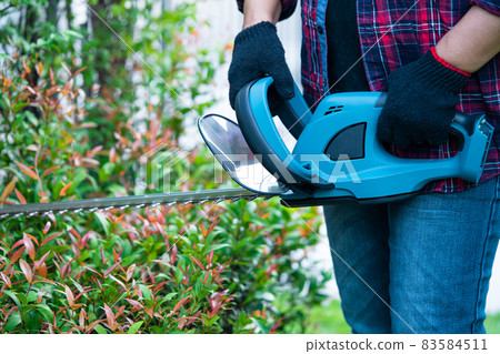 Gardener holding electric hedge trimmer to cut the treetop in garden. 83584511