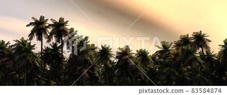 Tropical rainforest at dusk Tropical rainforest at dusk 83584874