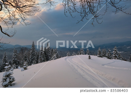 Moody landscape with footpath tracks and bare dark trees covered with fresh fallen snow in winter mountain forest on cold gloomy evening. 83586403