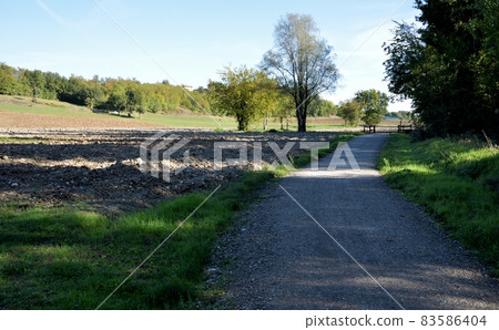 Walking along the fields 83586404