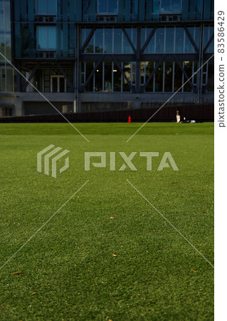 Campus Student life University Lawn open space School building Learning place 83586429