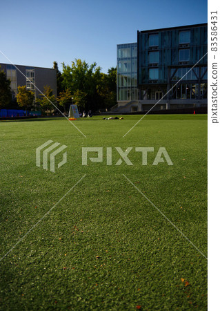 Campus Student life University Lawn open space School building Learning place Campus Student life University Lawn open space School building Learning place 83586431