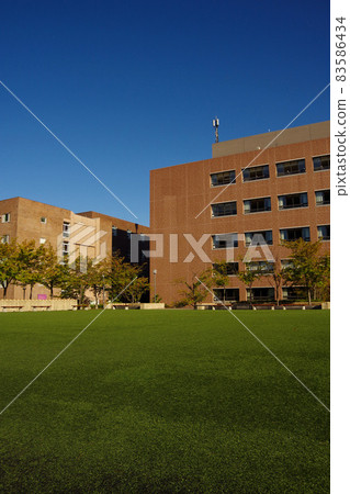 Campus Student life University Lawn open space School building Learning place Campus Student life University Lawn open space School building Learning place 83586434