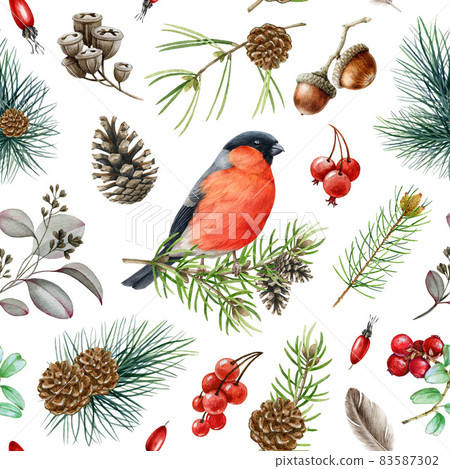 Bullfinch bird winter seamless pattern. Watercolor illustration. Hand drawn bullfinch bird, fir tree branch, cone, red berries, pine nature winter element. Forest little songbird. White background 83587302