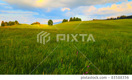 Flight over the beautiful rural landscape of Bavaria Allgau in the German Alps Flight over the beautiful rural landscape of Bavaria Allgau in the German Alps 83588356
