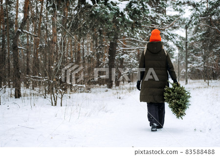Back view of woman in red hat carrying Christmas tree and walkng in snow winter park. Preparing for Christmas, picking, selecting, choosing Christmas tree 83588488