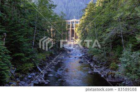 Seymour Dam, river and trees. Sunny Summer Evening. 83589108
