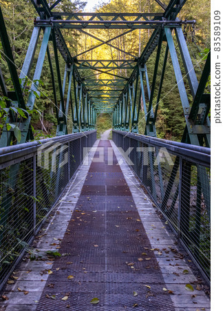 Bridge over a river creek on a hiking trail near Seymour Lake. Bridge over a river creek on a hiking trail near Seymour Lake. 83589109