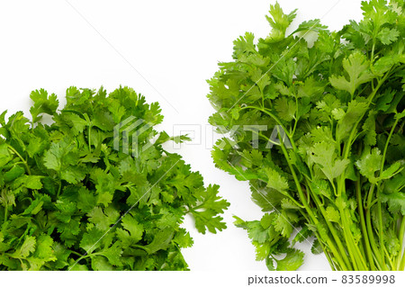 Fresh coriander on white background. Fresh coriander on white background. 83589998