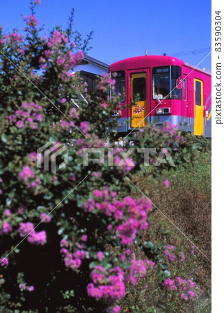 北條鐵路花2000 北條鐵路花2000 83590304