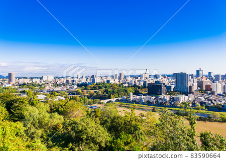 Sendai City of Trees Autumn Scenery Sendai City of Trees Autumn Scenery 83590664