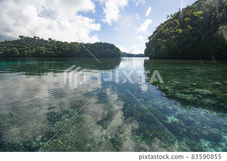 Republic of Palau Sea and islands, seascape of Rock Island, a World Heritage Site Republic of Palau Sea and islands, seascape of Rock Island, a World Heritage Site 83590855