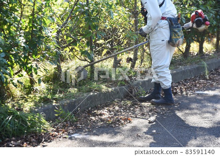 Weeding work with a park trimmer and mower 83591140