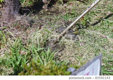 Weeding work with a park trimmer and mower Weeding work with a park trimmer and mower 83591143