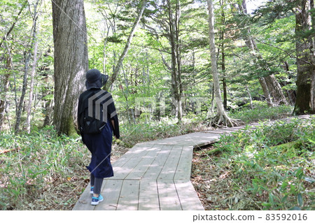 Woman walking in the forest 83592016