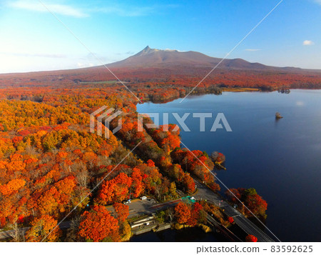 秋季鳥瞰北海道七飯町大沼大沼公園的秋葉 秋季鳥瞰北海道七飯町大沼大沼公園的秋葉 83592625