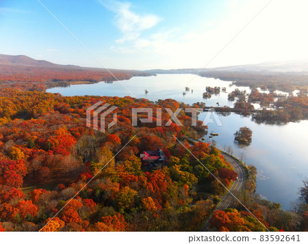 秋季鳥瞰北海道七飯町大沼大沼公園的秋葉 83592641