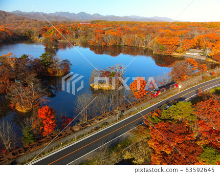 秋季鳥瞰北海道七飯町大沼大沼公園的秋葉 秋季鳥瞰北海道七飯町大沼大沼公園的秋葉 83592645