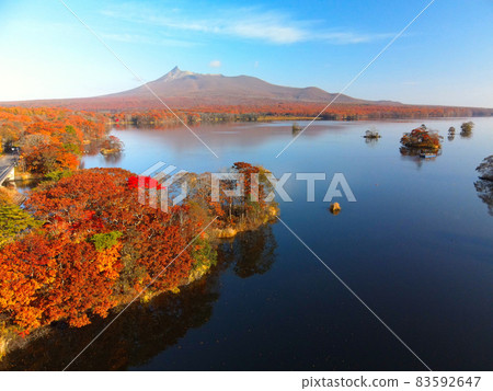 秋季鳥瞰北海道七飯町大沼大沼公園的秋葉 83592647