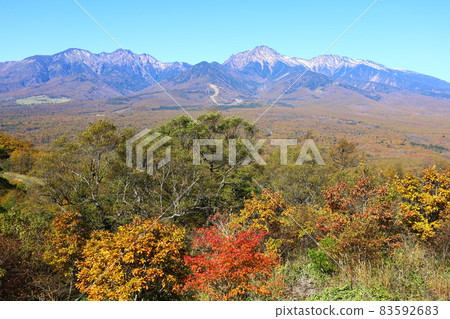 A spectacular view of autumn from the Hirasawa Pass, where you can see Yatsugatake, the autumn leaves, and the clear autumn weather. A spectacular view of autumn from the Hirasawa Pass, where you can see Yatsugatake, the autumn leaves, and the clear autumn weather. 83592683