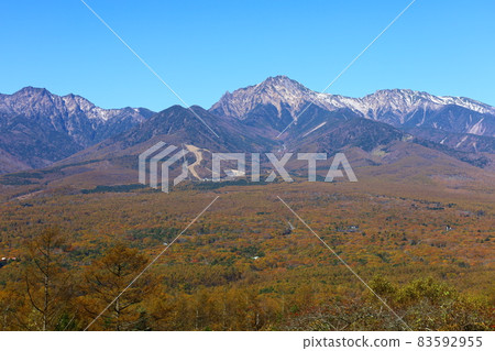 The mountains of Yatsugatake against the backdrop of the yellow-leaved forest and the clear autumn colors seen from the Hirasawa Pass 83592955