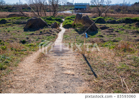 Near the swan landing site, winter scenery, Kawajima Town, Oppe River Near the swan landing site, winter scenery, Kawajima Town, Oppe River 83593060