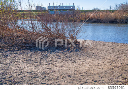 Near the swan landing site, winter scenery, Kawajima Town, Oppe River Near the swan landing site, winter scenery, Kawajima Town, Oppe River 83593061
