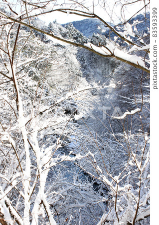 雪妝的丹澤山脈和山谷 83593399