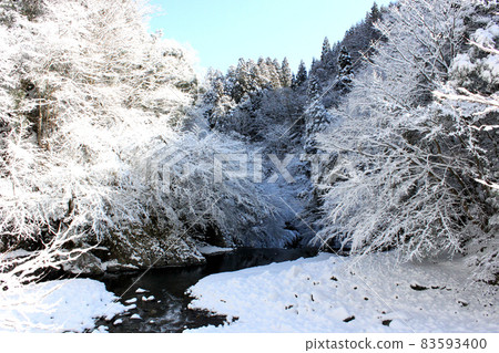 雪妝的丹澤山脈和山谷 雪妝的丹澤山脈和山谷 83593400